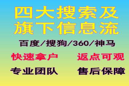 SEM竞价代运营实战技巧与案例